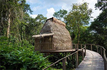 Ngaga Camp - Odzala-Koukoua National Park