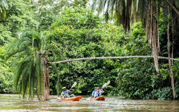 Kayaking down the Lekoli River  - Kamba/Republic of Congo with Cindi LaRaia, March 8-16, 2026 Group Trip
