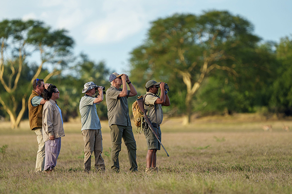 Walking safari in Gorongosa National Park, Mozambique