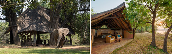Nkwali Camp - South Luangwa National Park, Zambia